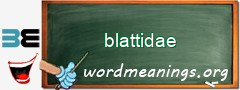 WordMeaning blackboard for blattidae